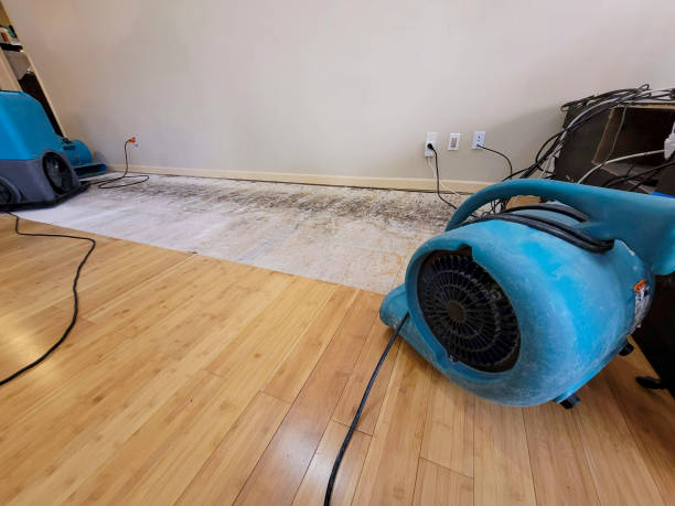 Professional Basement Flood Cleanup technician working in Jay, OK